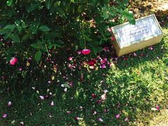 -人民公园(罗湖区)