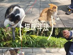 -晓港公园