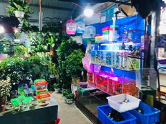 -大学城夜市大排档(凤栖路店)