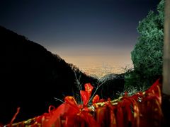 -泰山风景名胜区