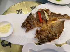 -骏莱海鲜鱼港(五角场店)