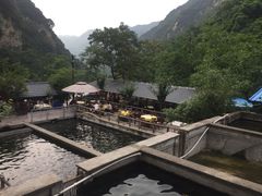 -建社鱼庄(管坪店)