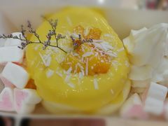 -狐狸和向日葵(北京路店)