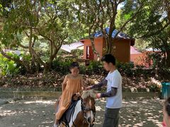 -泉州海丝野生动物世界