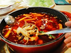-香坝坝鲜鱼火锅(春熙路店)