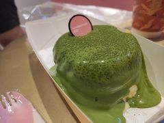 -狐狸和向日葵(北京路店)