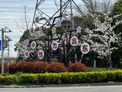 -高东镇樱花园