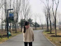 -东郊湿地公园