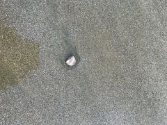 -渔寮风景区