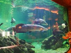 -华夏文旅海洋公园