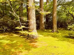 -三千院
