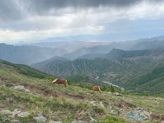 -灵山