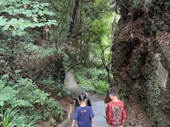 -窦圌山风景区