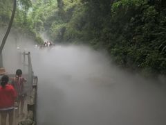 -川西竹海景区