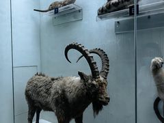 -国家自然博物馆