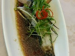 -十八棵（老龙井）御茶园(老龙井店)
