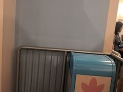 -小熊维尼历险之旅