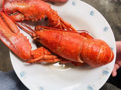 -猫姑娘大盘鸡(商城路店)