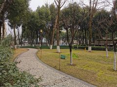 -重庆市江北嘴中央商务区中央公园