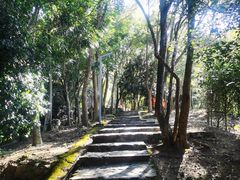 -风云岭森林公园