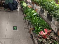 -鹿岛生活(熙地港店)