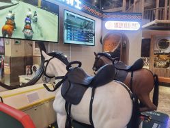 -卡通尼·Safari非洲探索乐园·生日会(金桥国际商业广场店)