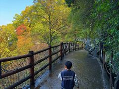 -少华山国家森林公园