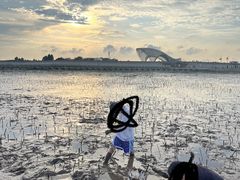 -南汇嘴观海公园