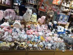 -九木杂物社(恒隆广场店)