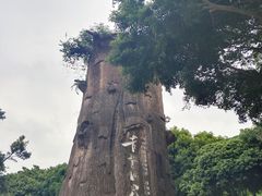 -青青世界