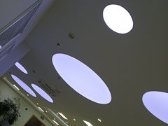 -上海大学附属上海和平眼科医院