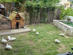 -HERRE·FARM 赫尔露营农场·团建聚会包场