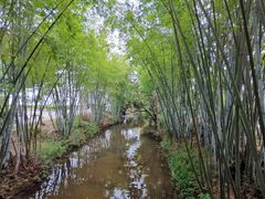 -林丰温泉度假山庄
