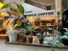 -阿什卡咖啡馆ESSCA COFFEE(塔里木石油宾馆店)