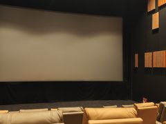 -金逸影城(大悦城IMAX激光店)