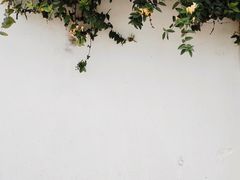 景观位-翠田Green Field Kitchen