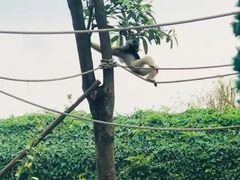 -长廊欢乐园