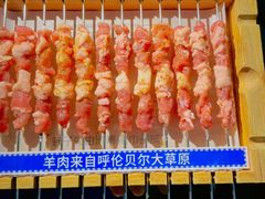 -很久以前羊肉串(朝阳路店)