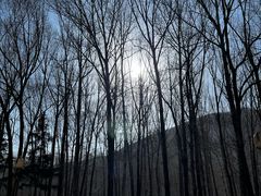 -五台山风景区