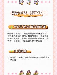 -Bollins波林丝•专研护发中心