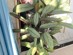 -涵羲兰心荟·花园餐厅(新街口店)