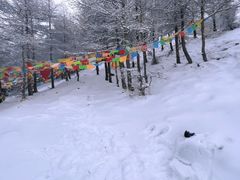 -五台山风景区