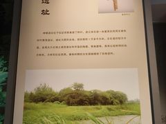 -仪征博物馆