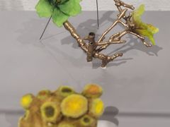 -中国美术学院象山校区-民艺博物馆