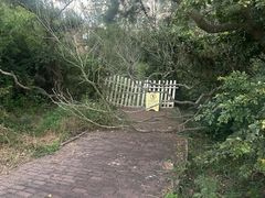 -漳州滨海火山岛自然生态风景区