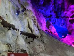 -苍山感通索道