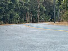 -西涌国际滨海旅游区