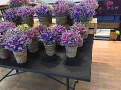 -L.C FLORA花予你(城西银泰城店)