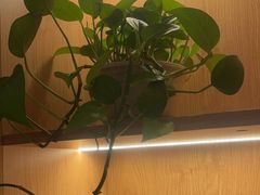 -和记小菜(名品店)