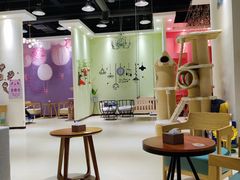 大堂-藏猫猫咖啡主题馆(中央大道店)